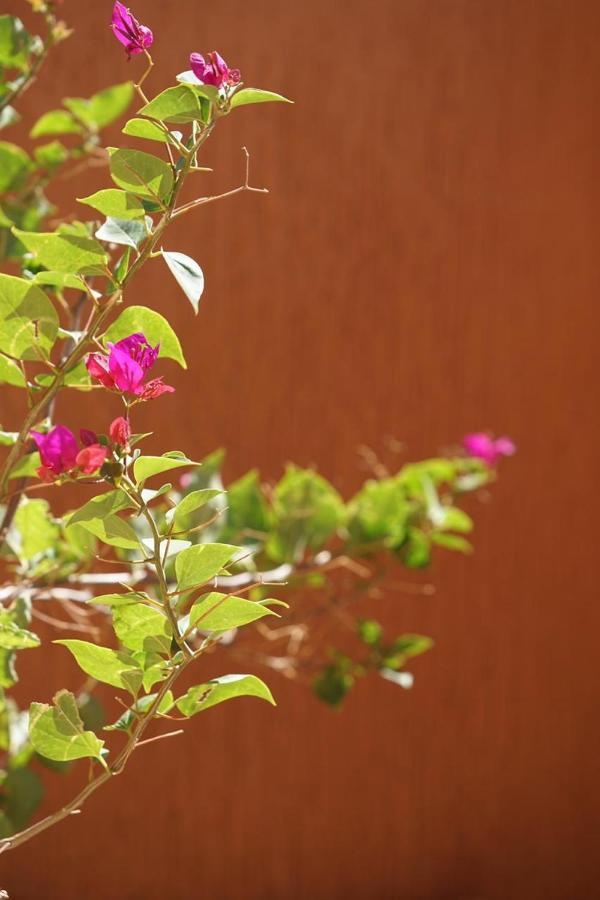 Berber Nomad Kasbah Bed & Breakfast Nkob Ngoại thất bức ảnh